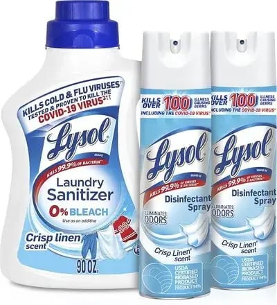 lysol (1) (1)